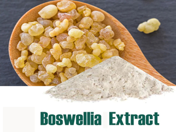 What Is Boswellia Serrata Extract Used For